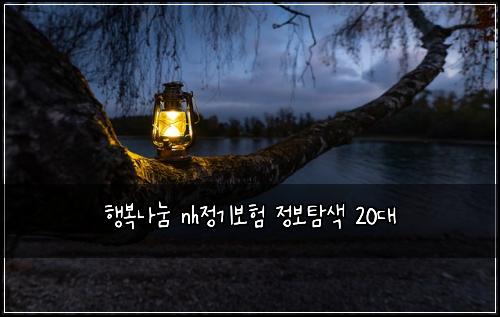 행복나눔 nh정기보험 정보탐색  20대
