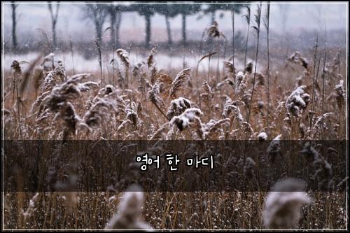영어 한 마디