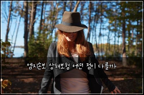 엠지손보 상해보험 어떤 점이 다를까