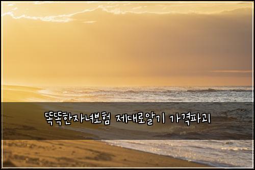 똑똑한자녀보험 제대로알기  가격파괴