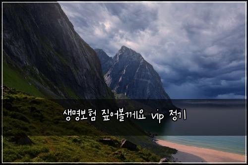 생명보험 짚어볼께요  vip 정기