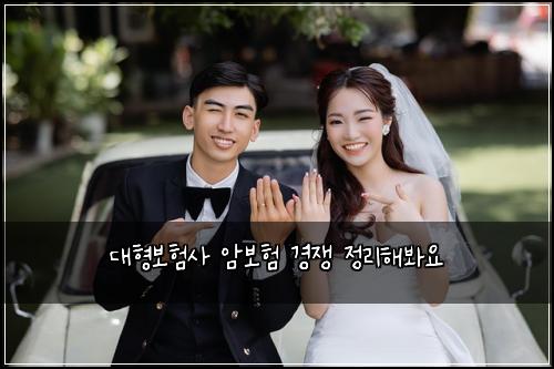 대형보험사 암보험 경쟁 정리해봐요