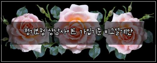 정기보험 상담사이트  가입기준 비교설계안
