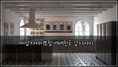 남자아이보험 세세한곳  남자아이