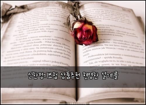 신한정기보험 상품추천  현명한 설계를