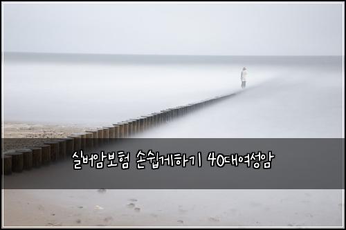 실버암보험 손쉽게하기  40대여성암