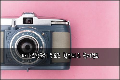 태아보험순위 무료로 확인하고 숙지정보