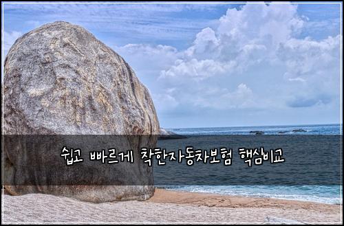 쉽고 빠르게 착한자동차보험 핵심비교 