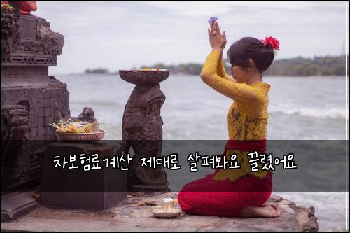 차보험료계산 제대로 살펴봐요 끌렸어요