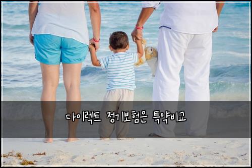 다이렉트 정기보험은 특약비교