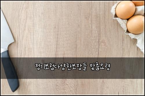 정기보험다양한보장들 맞춤요령