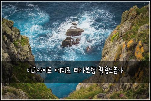๋น๊ต์ฌ์ดํธ ๋ฉ๋ฆฌ์ธ ํ์๋ณดํ ํ์ฉ๋๋์