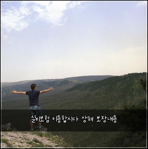 실비보험 이용합시다  상해 보장내용