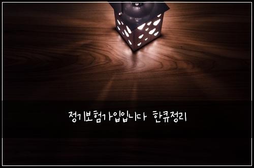 정기보험가입입니다 한큐정리