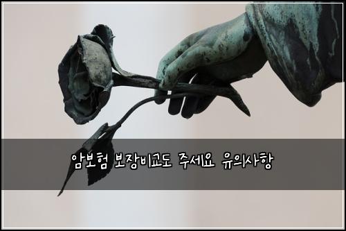 ์๋ณดํ ๋ณด์ฅ๋น๊ต๋ ์ฃผ์ธ์ ์ ์์ฌํญ