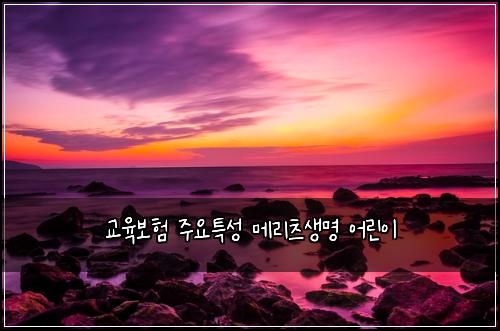 교육보험 주요특성  메리츠생명 어린이