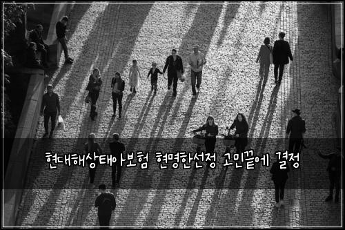 현대해상태아보험 현명한선정  고민끝에 결정