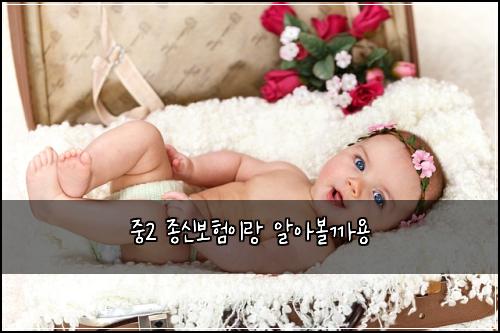 중2 종신보험이랑 알아볼까용