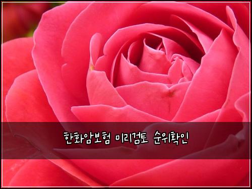 한화암보험 미리검토  순위확인