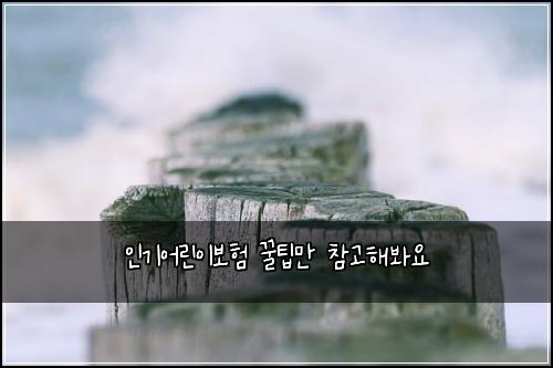 인기어린이보험 꿀팁만  참고해봐요