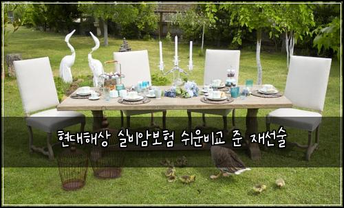 현대해상 실비암보험 쉬운비교  준 재선술