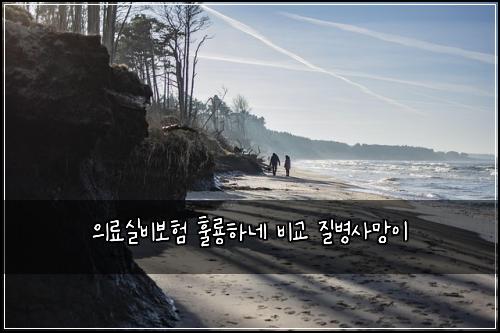 의료실비보험 훌룡하네  비교 질병사망이