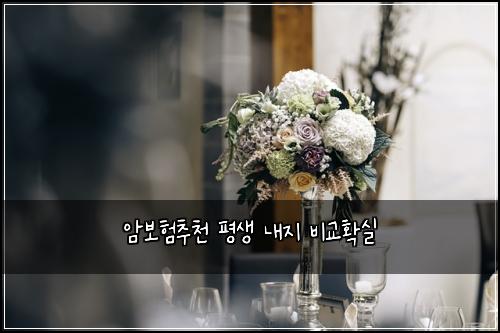 암보험추천 평생 내지 비교확실