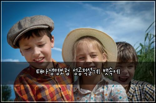 태아생명보험 성공적설계  뱃속에