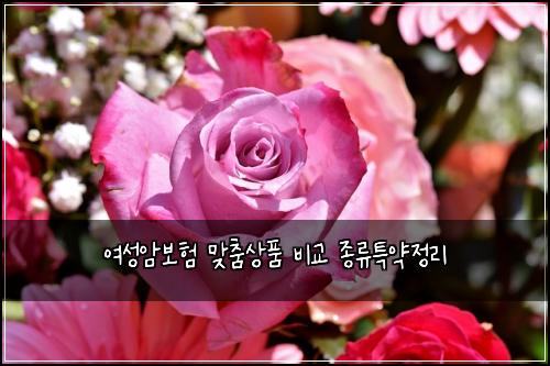 여성암보험 맞춤상품  비교 종류특약정리