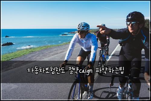 자동차보험한도 절약caign 파악하는팁