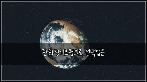 한화정기보험으로 선택법은