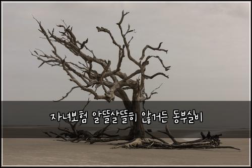 자녀보험 알뜰살뜰히  않거든 동부실비