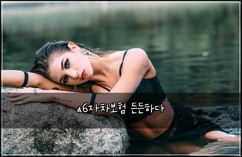 a6자차보험 든든하다 