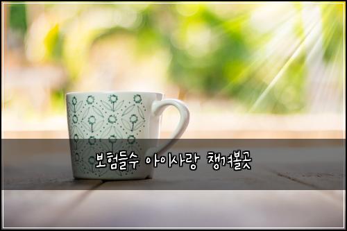 보험들수 아이사랑 챙겨볼곳