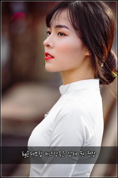 lig손해보험 체크항목은  상해 원 권장