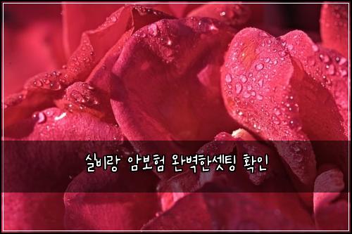 실비랑 암보험 완벽한셋팅  확인