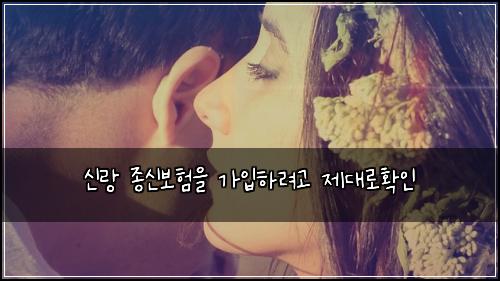 신랑 종신보험을 가입하려고 제대로확인