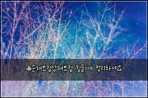 db손해보험상해보험 힘들때 정리하세요