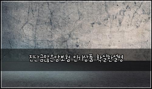 진단금많은암보험 인기상품  확실한설명