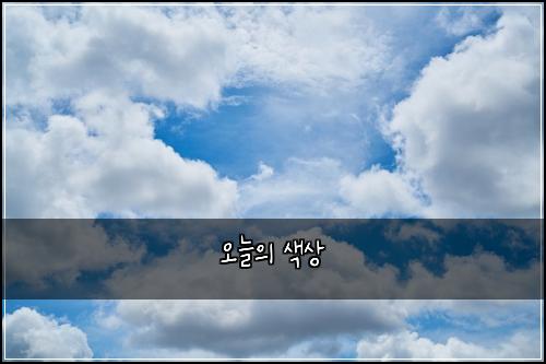 오늘의 색상