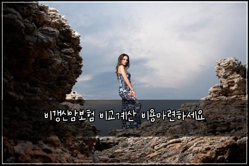 비갱신암보험 비교계산  비용마련하세요