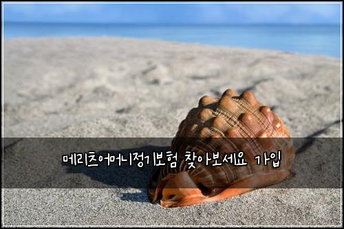 메리츠어머니정기보험 찾아보세요  가입