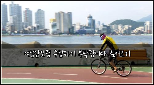 여성암보험 수집하기  부탁합니다 짚어보기