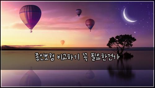 종신보험 비교하기  꼭 필요한건가