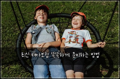 최신 태아보험 똑똑하게 준비하는 방법