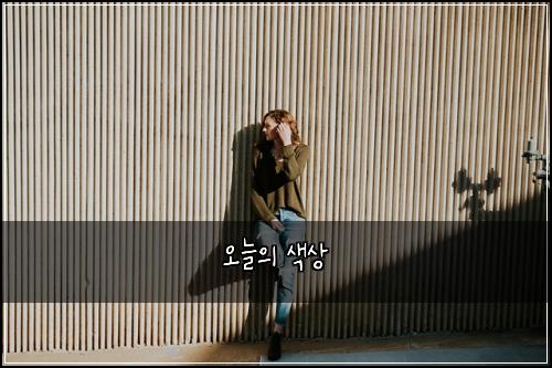 오늘의 색상