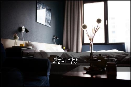 오늘의 색상