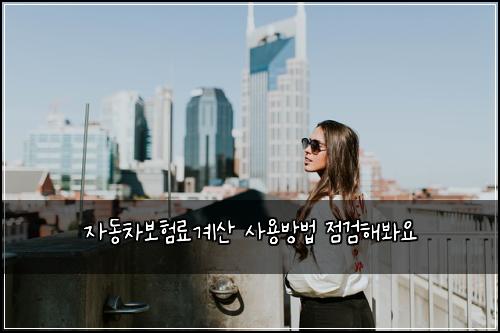 자동차보험료계산 사용방법 점검해봐요
