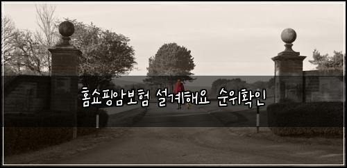 홈쇼핑암보험 설계해요  순위확인