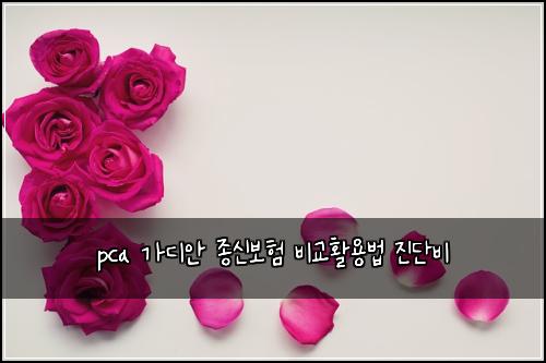 pca 가디안 종신보험 비교활용법  진단비